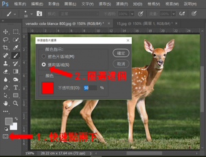 DGcovery_PS教學-快速遮色片透明化-DGPS-Step3 DGcovery_PS教學-快速遮色片透明化-DGPS-Step3