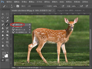 DGcovery_PS教學-快速遮色片透明化-DGPS-Step4 DGcovery_PS教學-快速遮色片透明化-DGPS-Step4