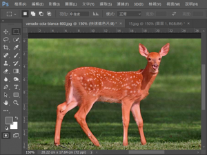 DGcovery_PS教學-快速遮色片透明化-DGPS-Step7 DGcovery_PS教學-快速遮色片透明化-DGPS-Step7