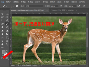 DGcovery_PS教學-快速遮色片透明化-DGPS-Step8 DGcovery_PS教學-快速遮色片透明化-DGPS-Step8