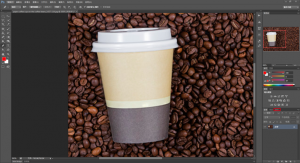 DGcovery_Photoshop去背教學-鋼筆工具4-2(圖二) DGcovery_Photoshop去背教學-鋼筆工具4-2(圖二)