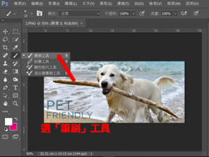 DGcovery_ps修圖教學-筆刷工具-dgps1 DGcovery_ps修圖教學-筆刷工具-dgps1