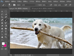 DGcovery_ps修圖教學-筆刷工具-dgps4 DGcovery_ps修圖教學-筆刷工具-dgps4