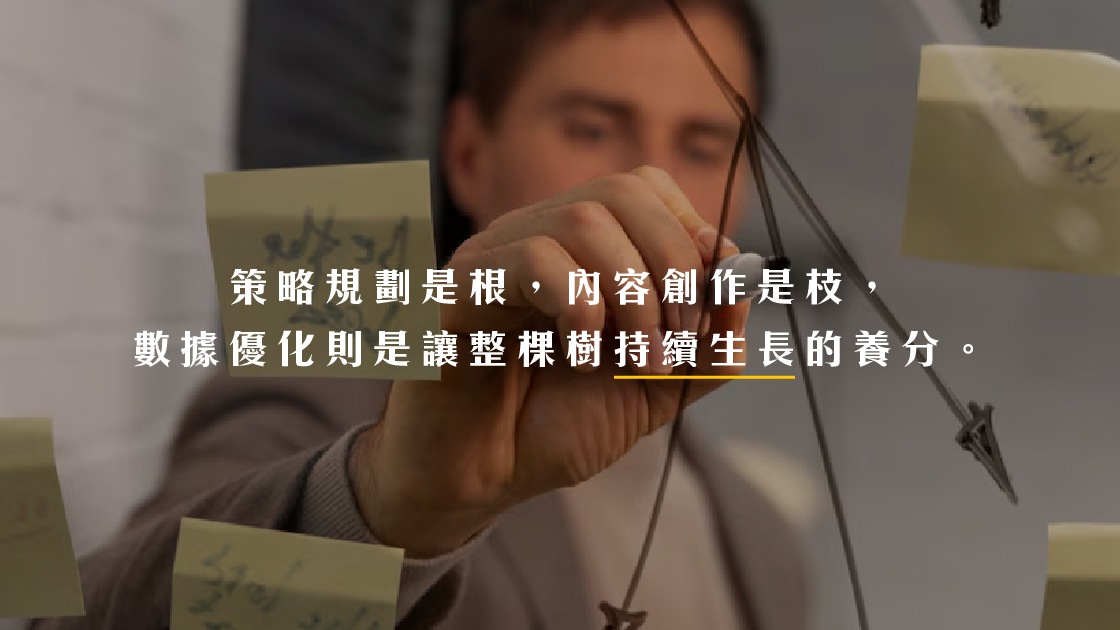 策略規劃是根,內容創作是枝,數據優化則是讓整棵樹持續生長的養分。