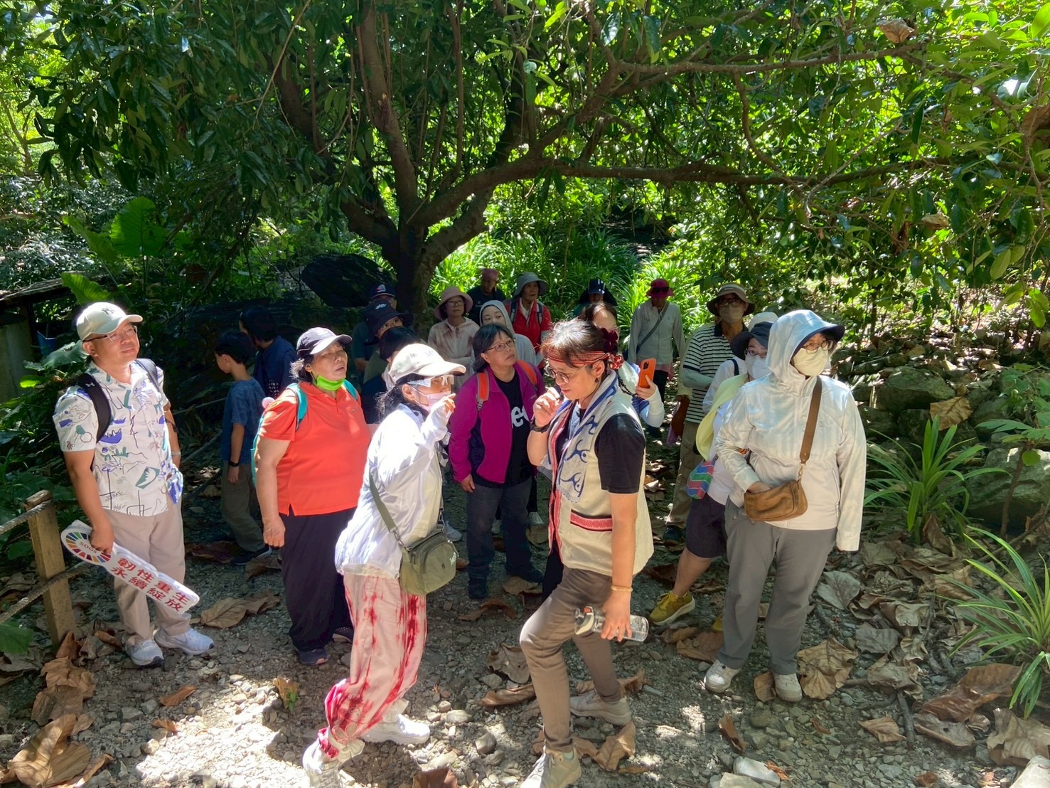 民眾走進部落山林場域，透過觀察漂流木、植被與傳統知識，認識文化與自然如何在地共生。